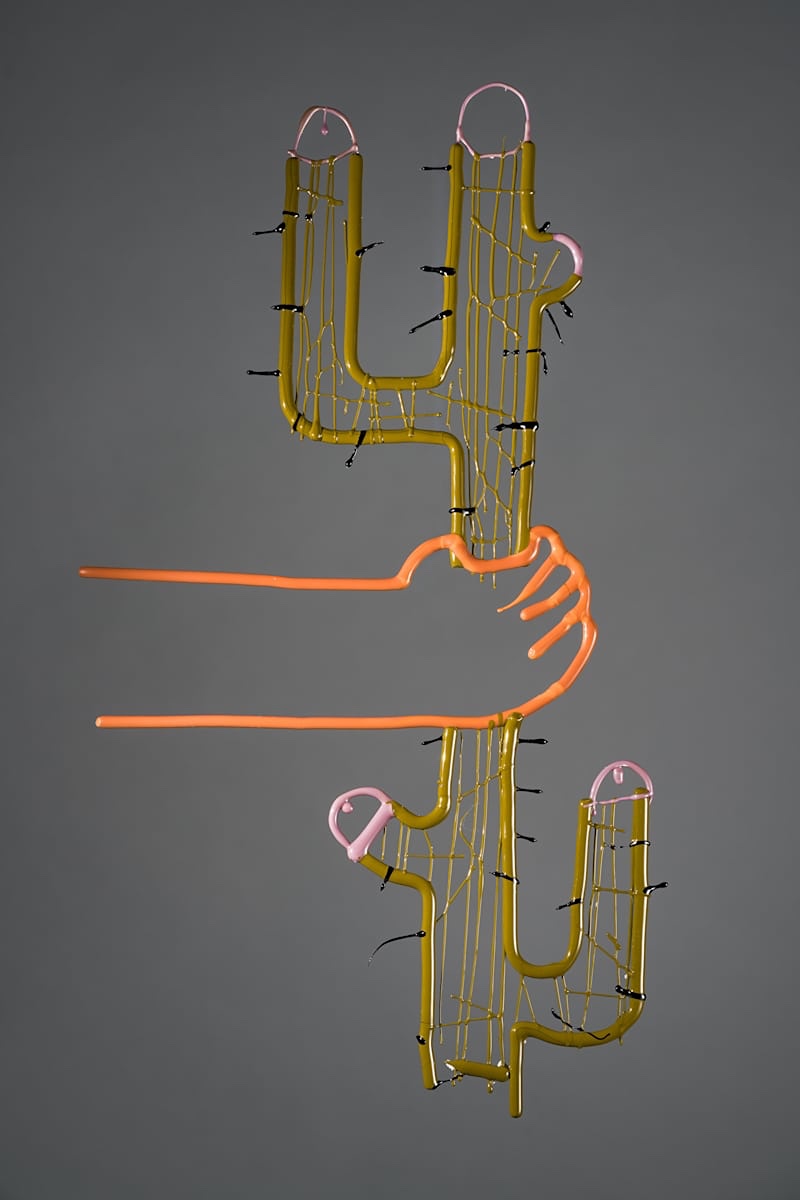 Michaela Spružinová - Cactus erectus