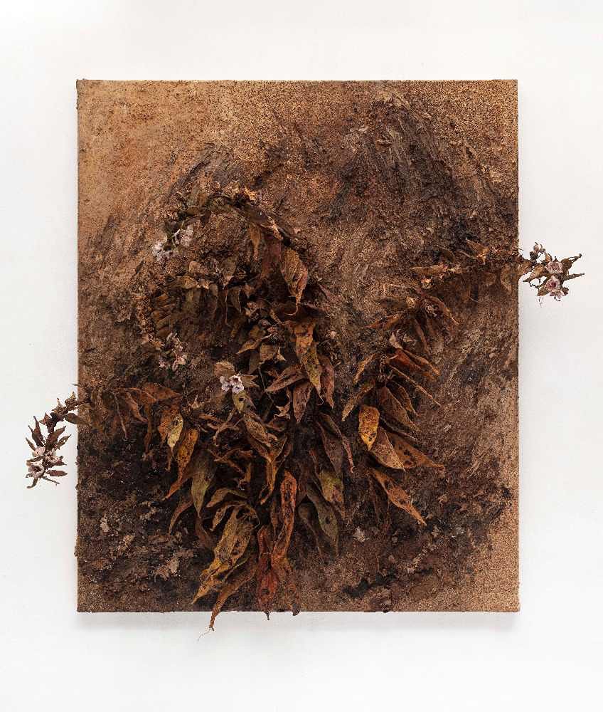 Liza Libenko (1996) - Henbane