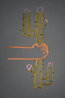 Michaela Spružinová - Cactus erectus