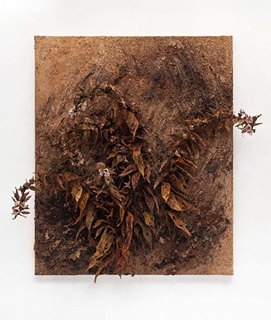 Liza Libenko (1996) - Henbane