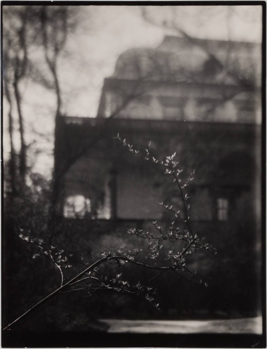 SPRING BY THE BELVEDERE