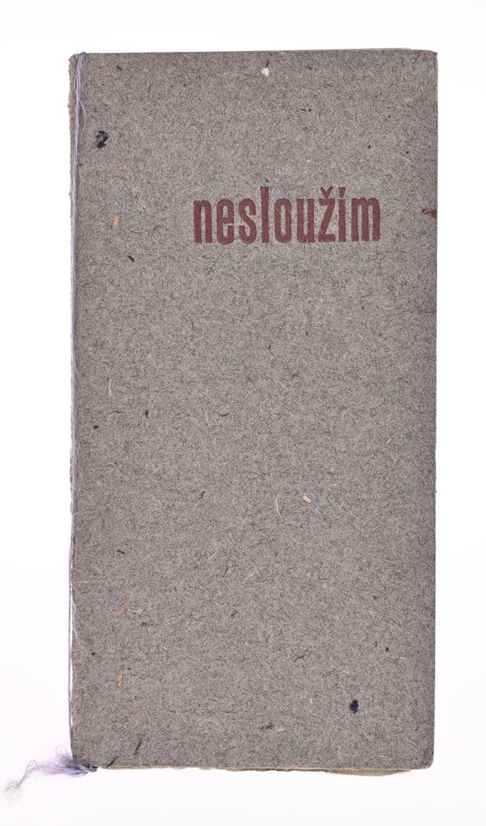 NESLOUŽÍM