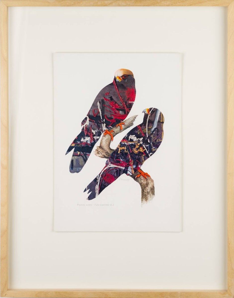 RED-FOOTED FALCON / G. MATHIEU, FROM THE CYCLE ORNITHOLOGY OF MODERN ART