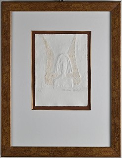O. ANDĚL – HEAD