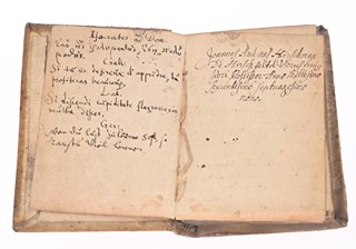 ELVCIDARIVS POETICVS