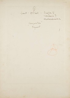 MOVEMENT STUDY