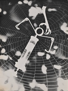 COBWEB