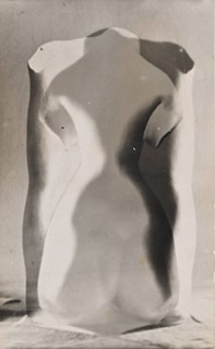 TORSO