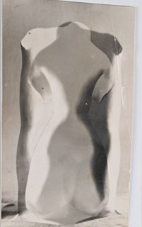 TORSO
