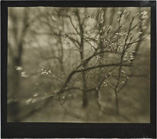 SPRING LABYRINTH