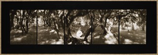 UNTITLED