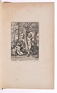 TRIUMPH OF DEATH