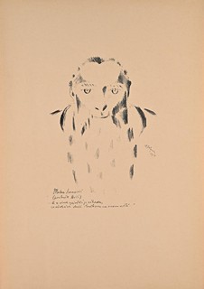 F. M. DOSTOJEVSKIJ. CYKLUS TŘICETI KRESEB