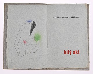 BÍLÝ AKT, PRIORITY EDITION