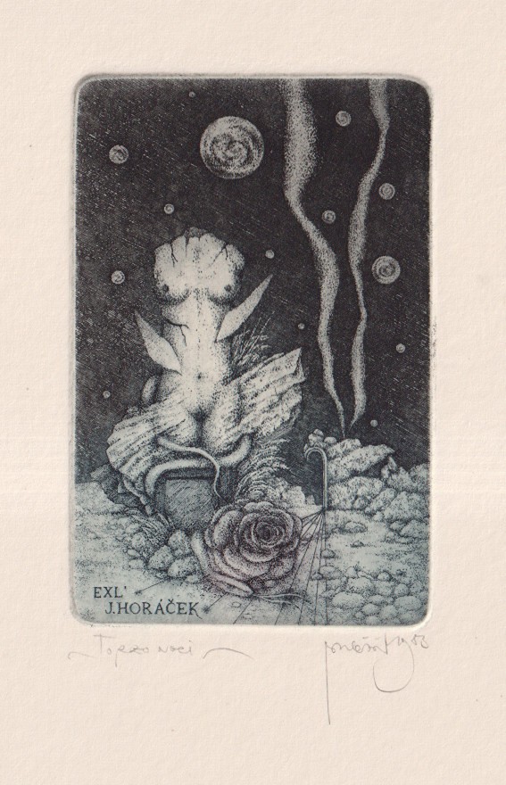 Zdenek Bugáň (1957) - Torzo noci