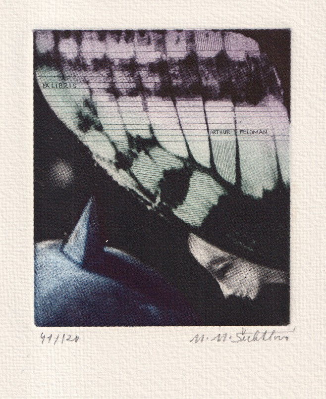 Marie Michaela Šechtlová (1952) - Motýl