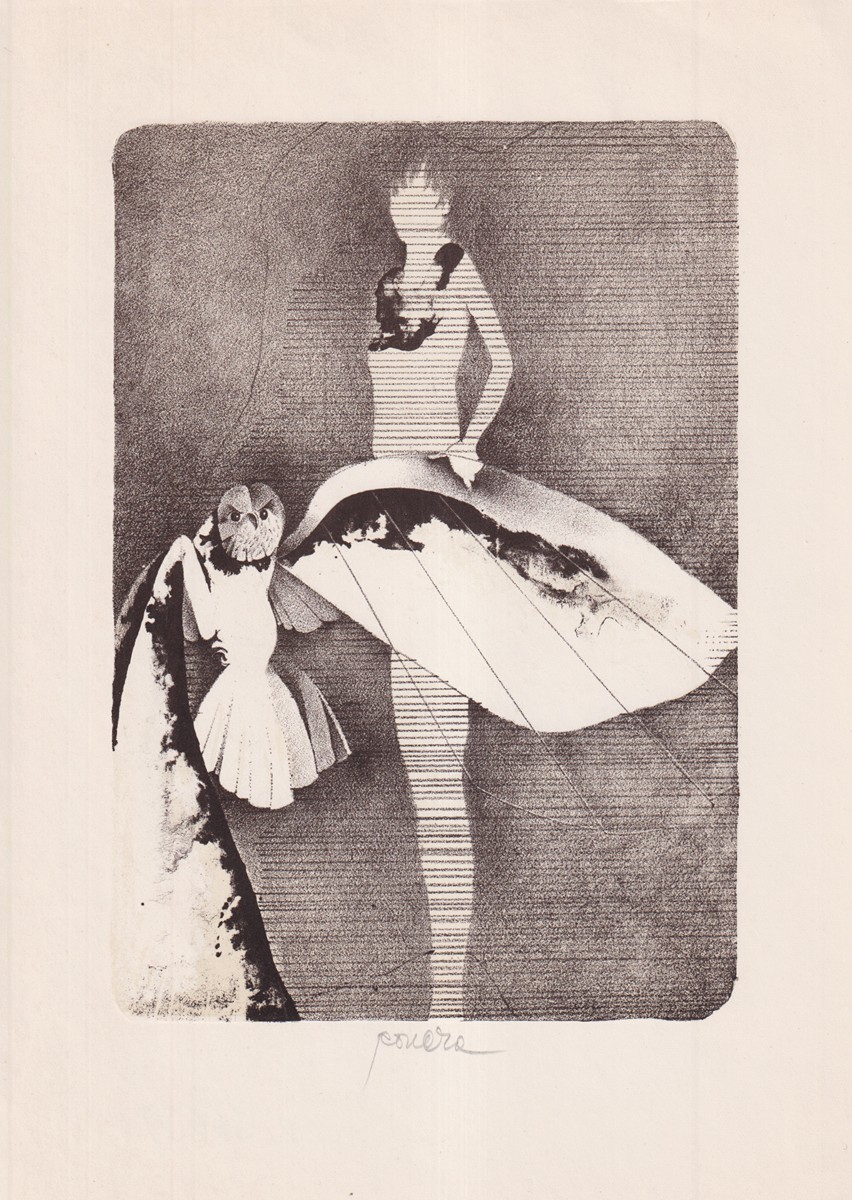 Pavel Roučka (1942) - Sova
