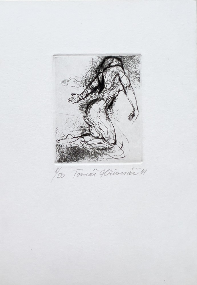Tomáš Hřivnáč (1959) - Příležitost