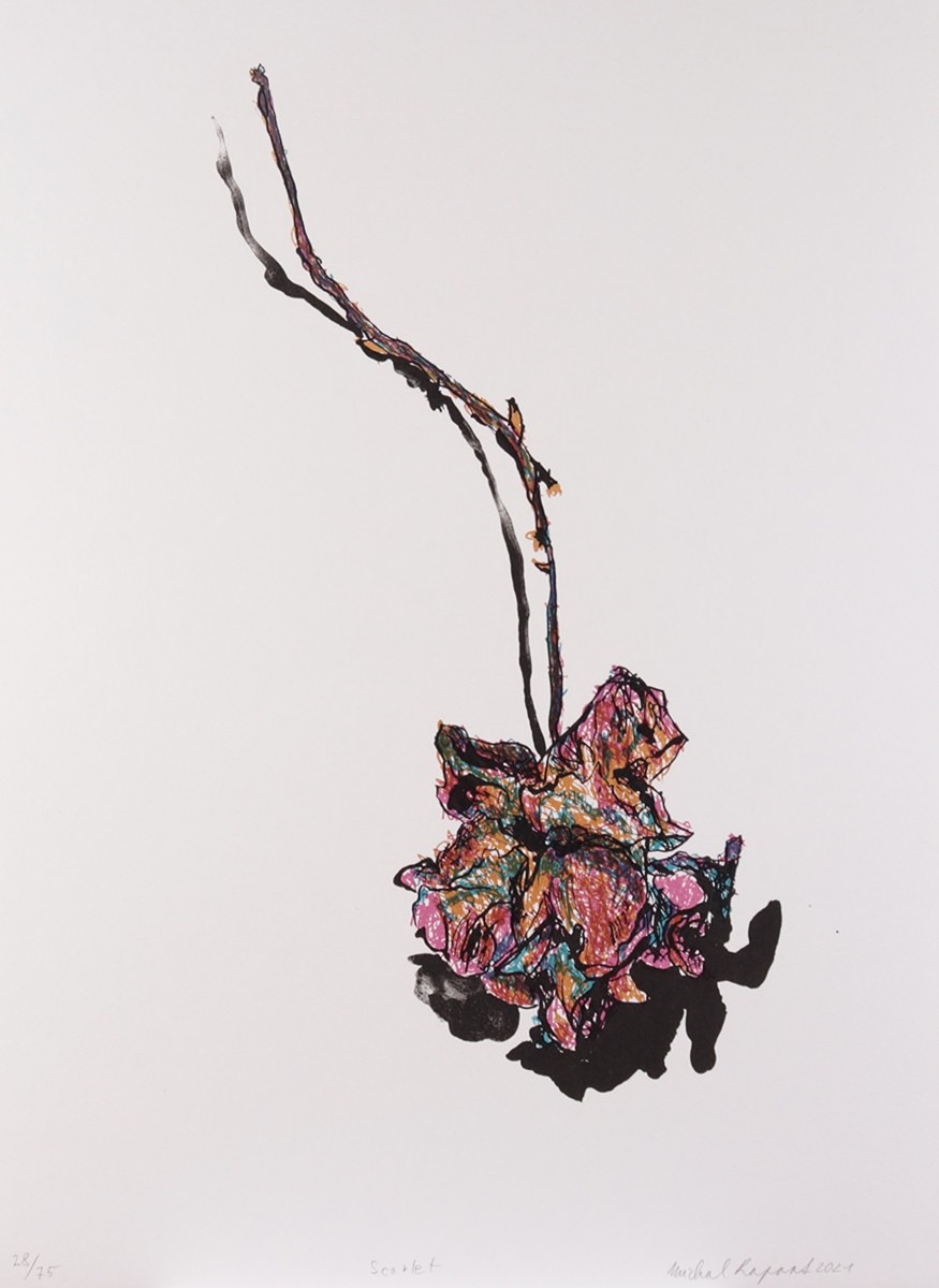 Michal Rapant (1986) - Scarlet