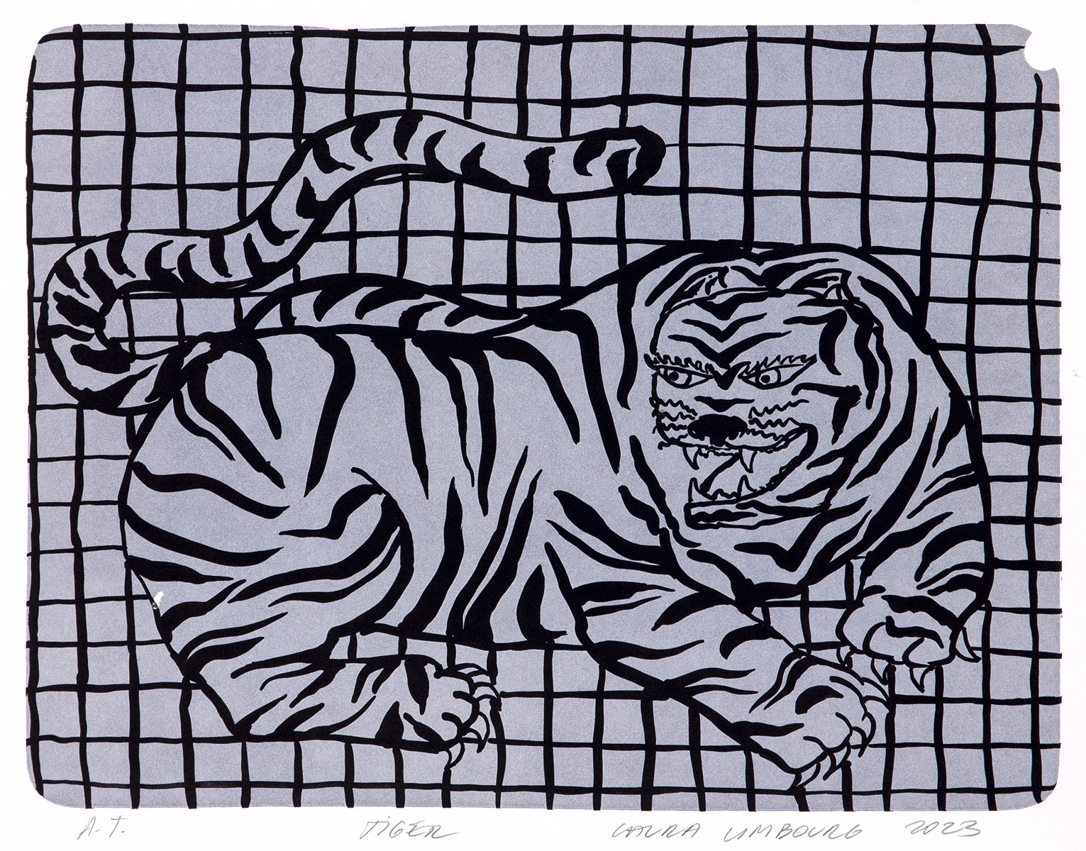 Laura Limbourg (1996) - Tiger šedivý
