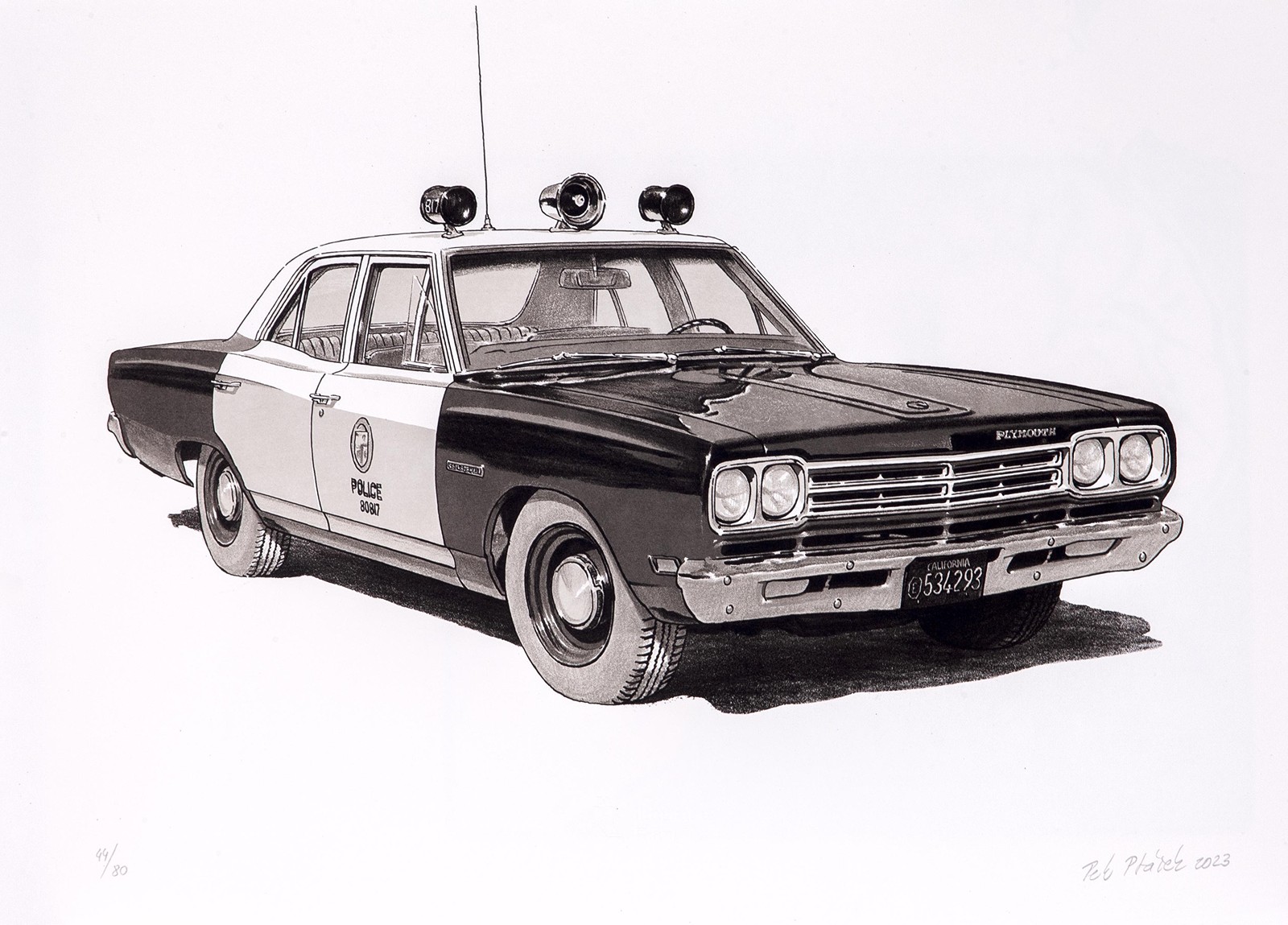Petr Ptáček (1965) - Plymouth police