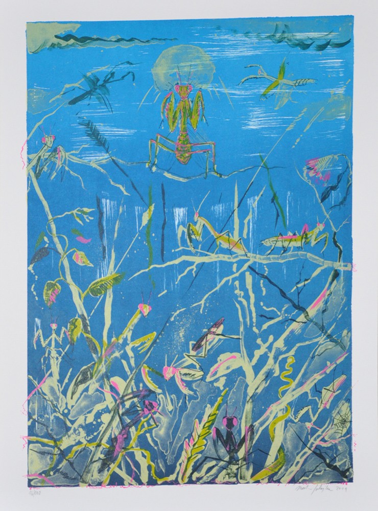 Martin Salajka (1981) - Kudlanky
