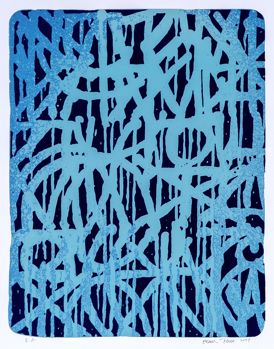 Michal Škapa (1978) - Blue grafiti