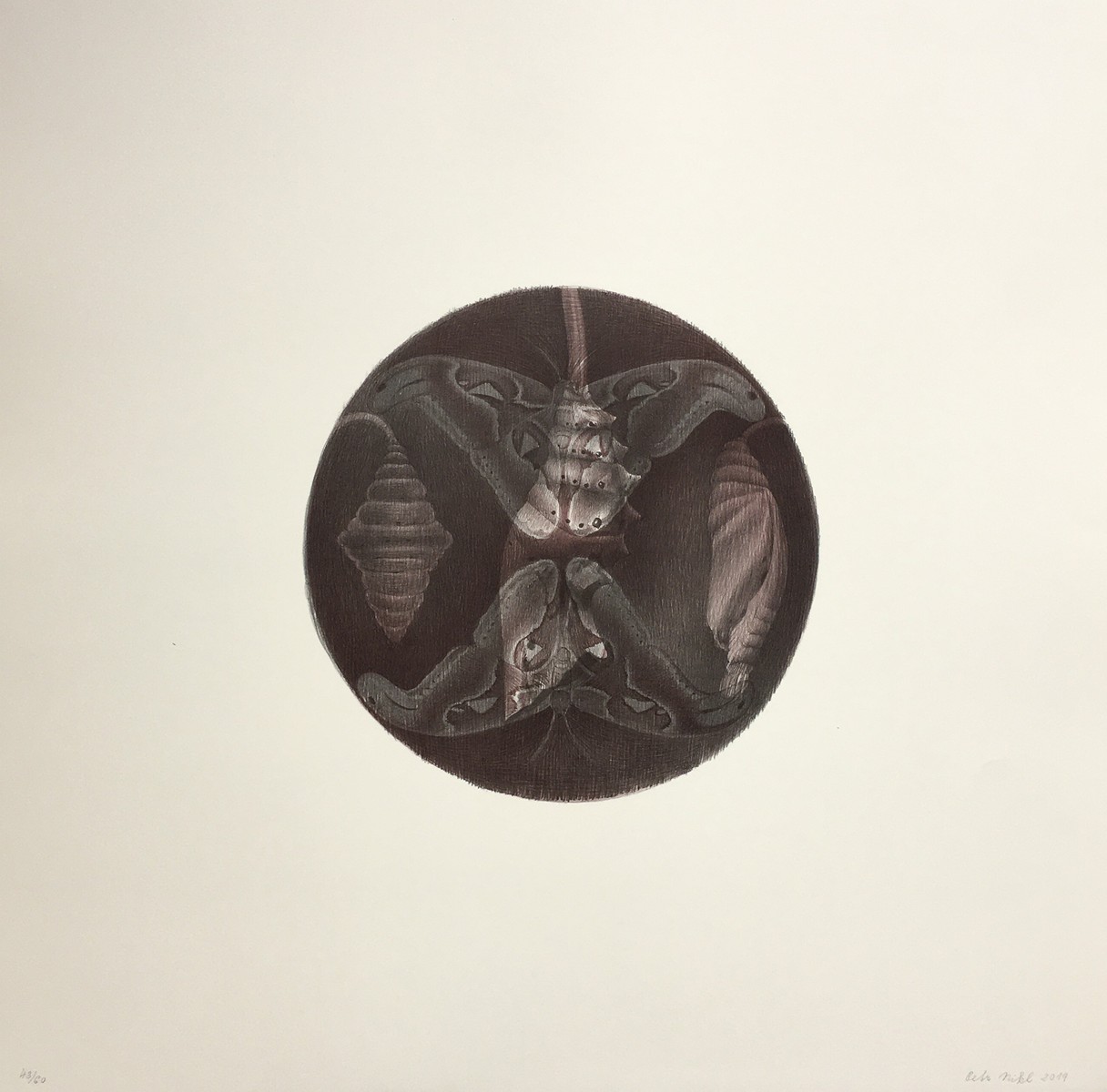 Petr Nikl (1960) - Atlas velký