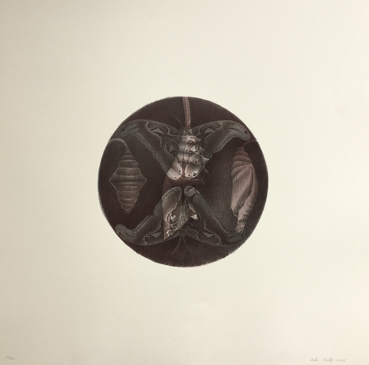 Petr Nikl (1960) - Atlas velký