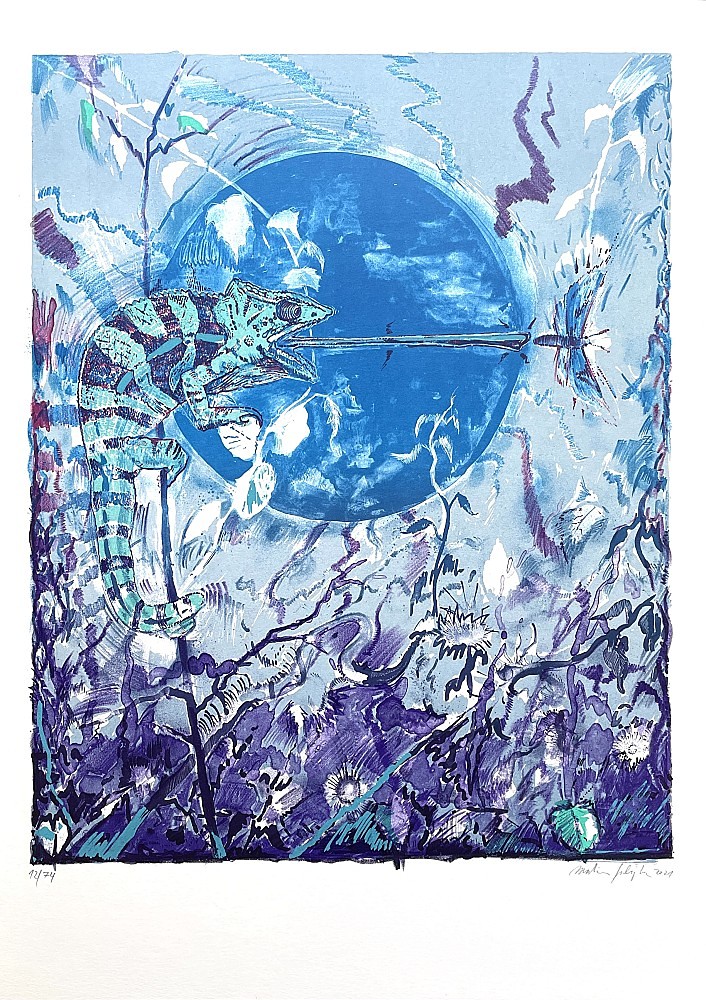 Martin Salajka (1981) - Chameleon I.