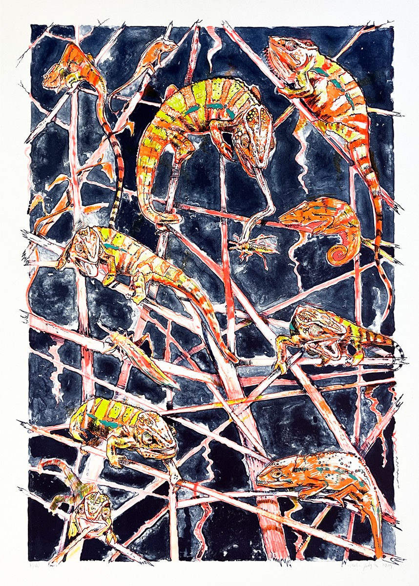 Martin Salajka (1981) - Chameleoni