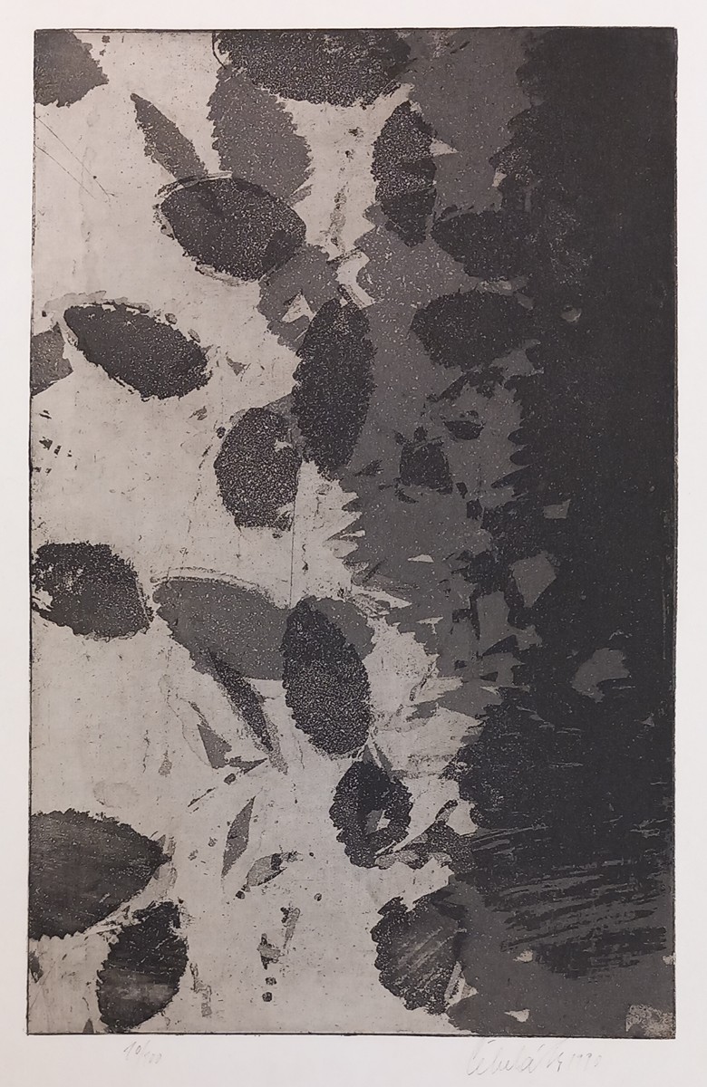 Ladislav Čepelák (1924 - 2000) - Slézy č. 711