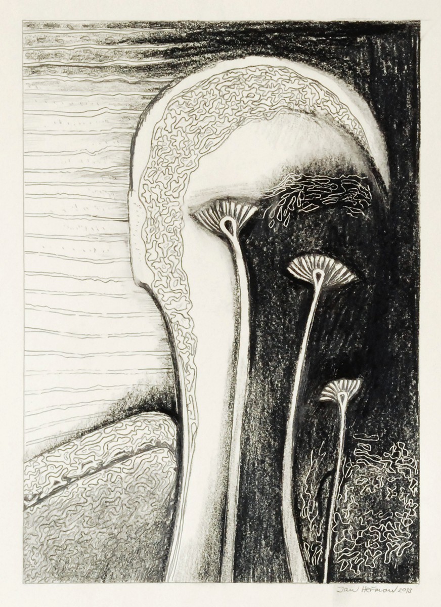 Jan Heřman (1955) - Milovník Květin - Portrét Marka Ebena