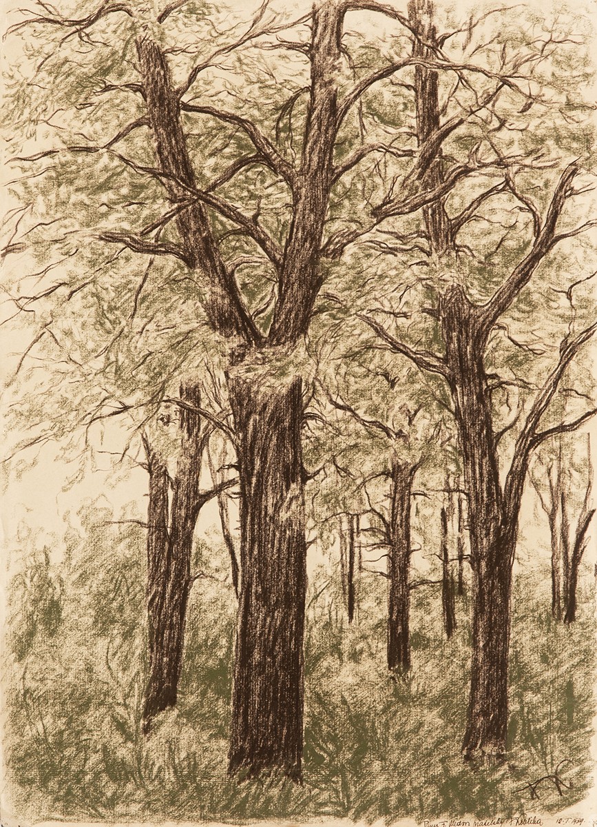 František Kobliha (1877 - 1962) - Les
