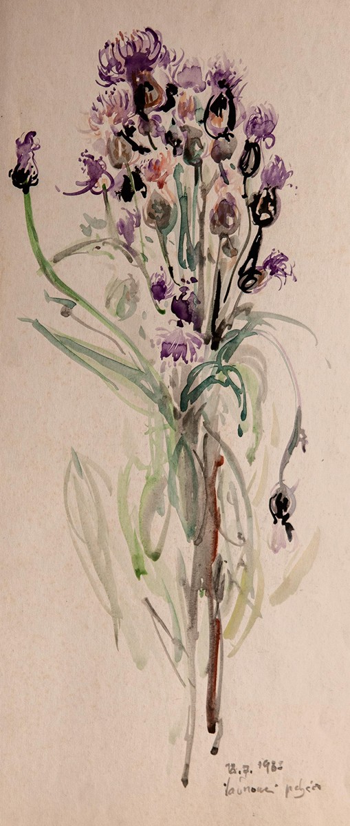 Alois Pitrmann (1911 - 1986) - Luční kvítí - Javornická poľana