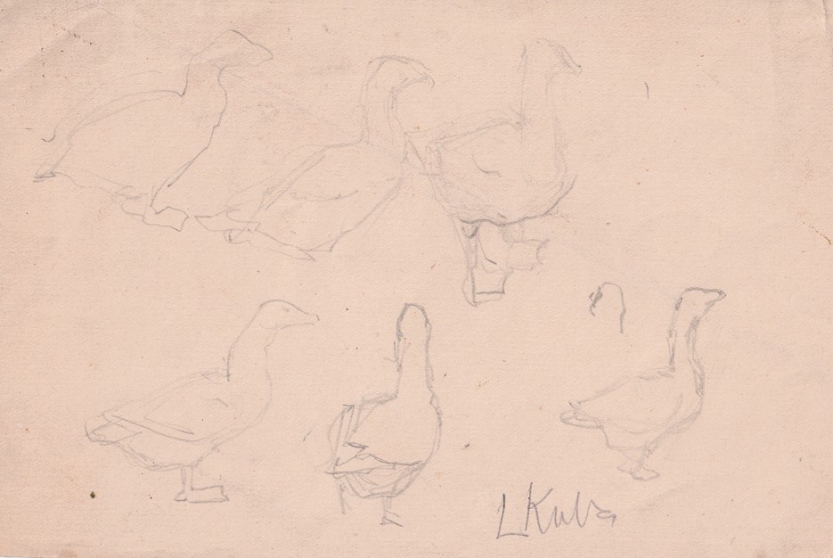 Ludvík Kuba (1863 - 1956) - Studie hus