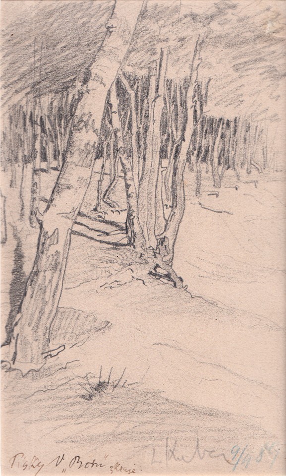 Ludvík Kuba (1863 - 1956) - Písky "V Boru"