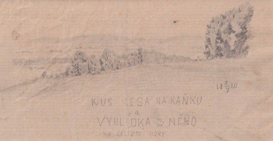 Ludvík Kuba (1863 - 1956) - Kus lesa na Kaňku