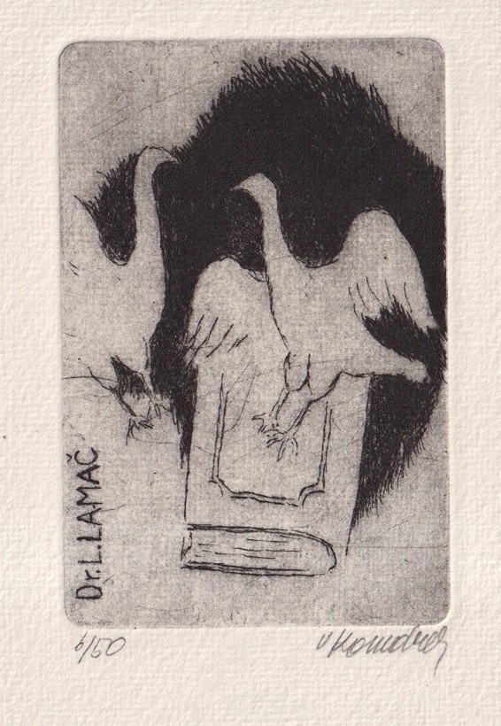 Vladimír Komárek (1928 - 2002) - Ptáci a kniha