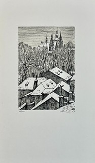 Hynek Luňák (1926) - Nová Svět