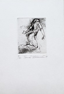 Tomáš Hřivnáč (1959) - Příležitost