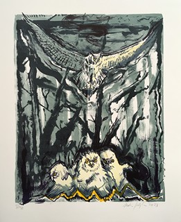 Martin Salajka (1981) - Hnízdo