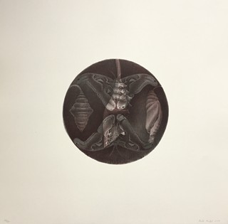 Petr Nikl (1960) - Atlas velký