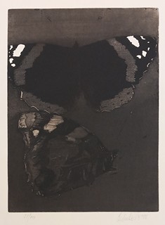 Ladislav Čepelák (1924 - 2000) - Motýl - Admirál