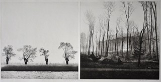 Tomáš Žemla (1984) - Testimony of Minimalism - Man touched Land II a IV (diptych)