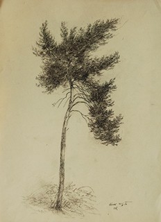Josef Řeřicha (1872 - 1959) - Písek