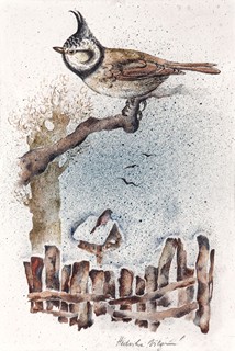 Hedvika Vilgusová (1946 - 2007) - Sýkorka v zimě