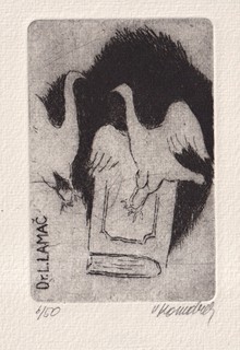Vladimír Komárek (1928 - 2002) - Ptáci a kniha