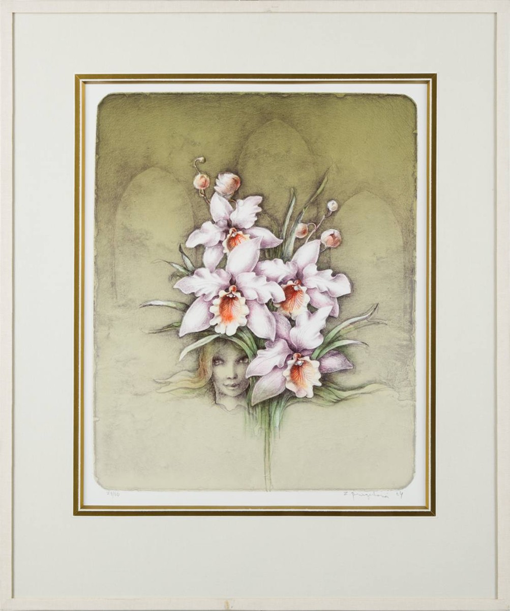PHALAENOPSIS