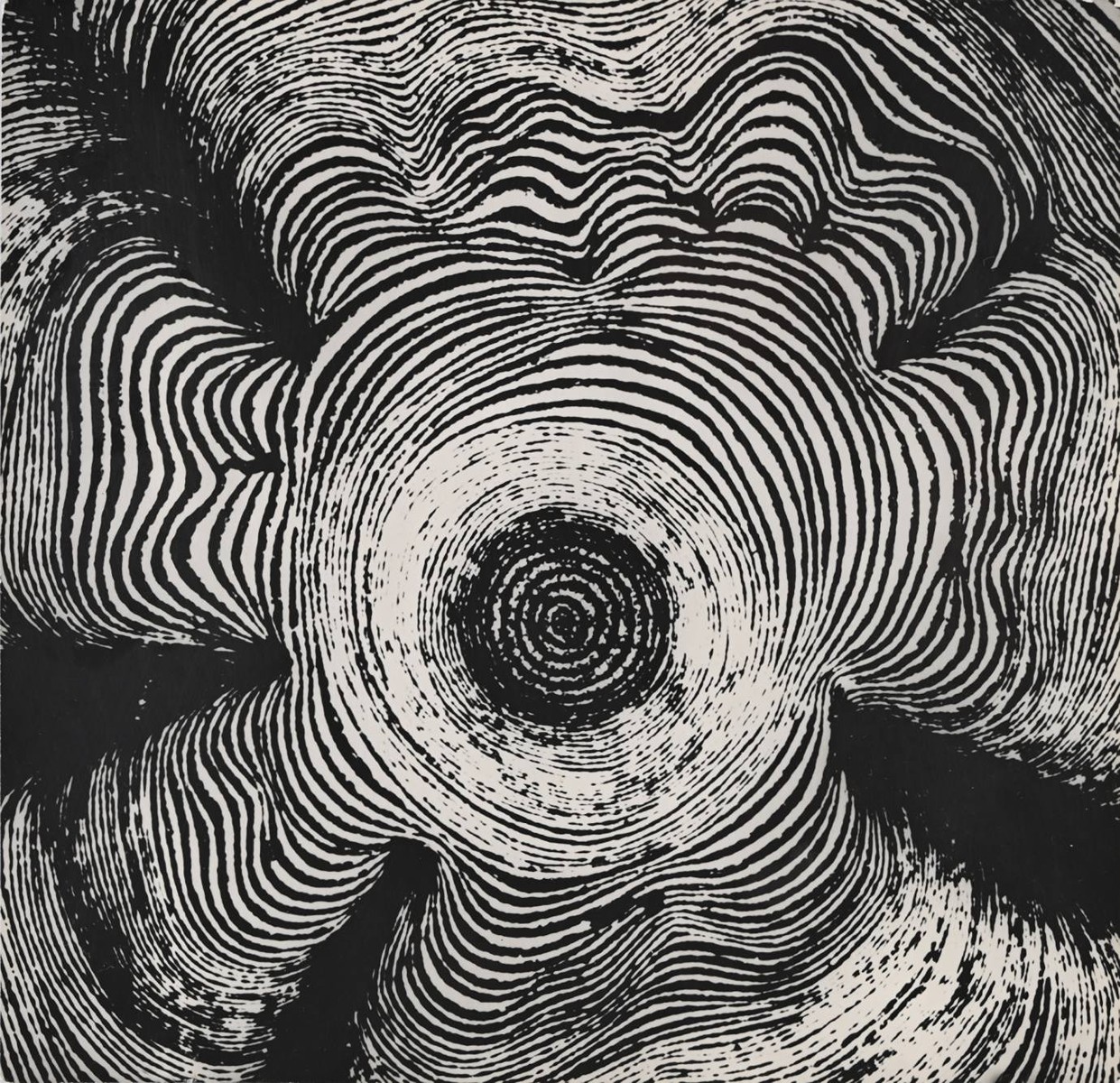 EXPERIMENTAL PHOTOGRAPH
